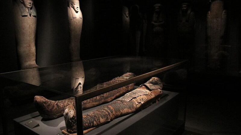 Mumije otkrivaju koje bolesti su postojale u Egiptu