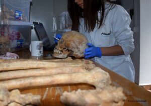 antropološka analiza skeleta, maja miljević-đajić