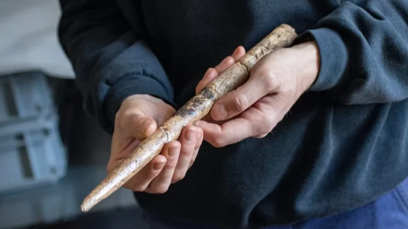 Otkriveni alati od kitovih kostiju stari 20.000 godina