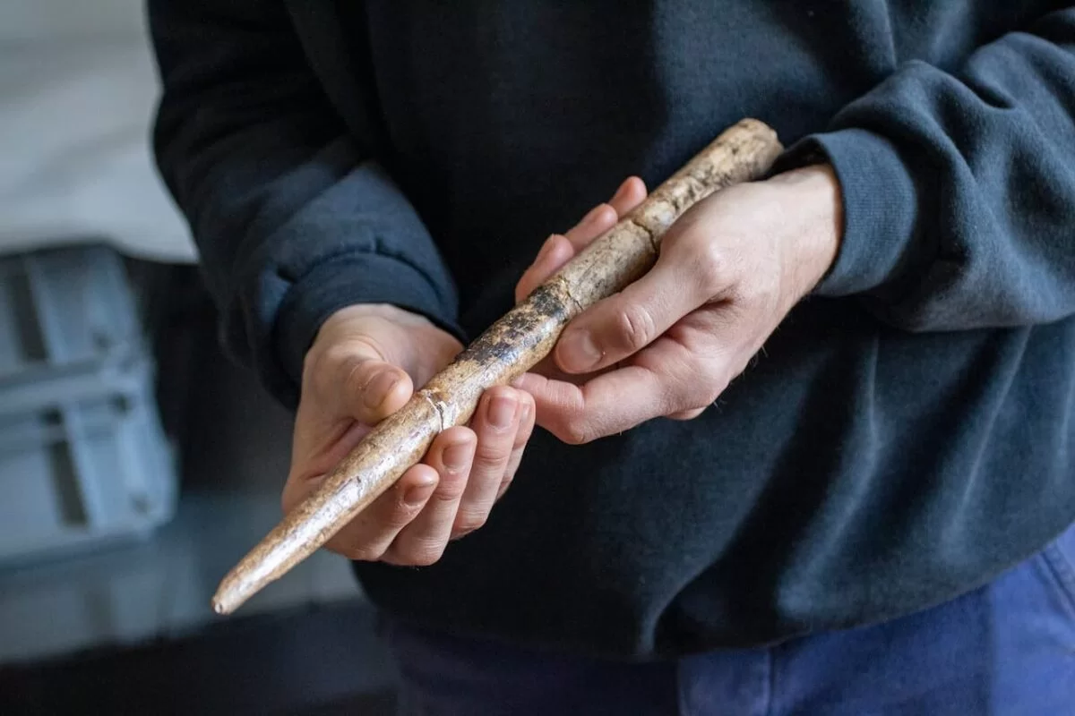 Otkriveni alati od kitovih kostiju stari 20.000 godina