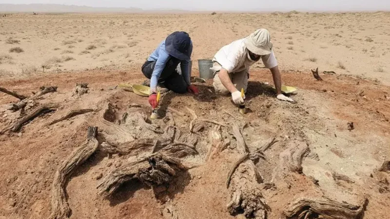 Gobi zid: Arheolozi otkrivaju misteriozni srednjovekovni zid u pustinji Mongolije