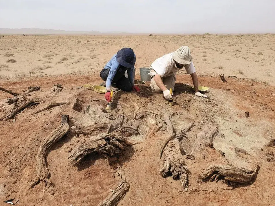 Gobi zid: Arheolozi otkrivaju misteriozni srednjovekovni zid u pustinji Mongolije