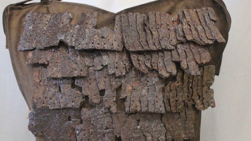 Lorica squamata: redak rimski oklop restauriran posle 1500 godina