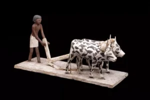 Drveni model egipatskog farmera koji ore polje pomoću pluga i volova, Srednje kraljevstvo, oko 2000. g.p.n.e
