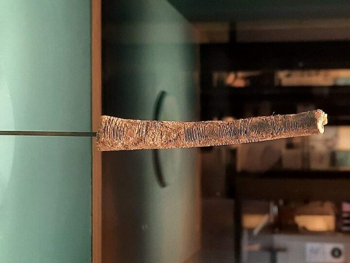 Prvi tragovi brojeva? Oznake na kostima stare 20.000 godina kao najraniji sistemi pamćenja