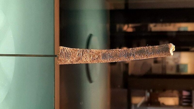 Prvi tragovi brojeva? Oznake na kostima stare 20.000 godina kao najraniji sistemi pamćenja