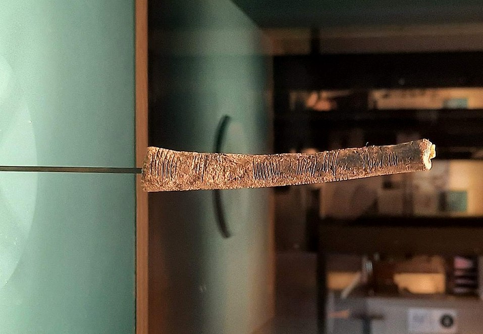 Prvi tragovi brojeva? Oznake na kostima stare 20.000 godina kao najraniji sistemi pamćenja