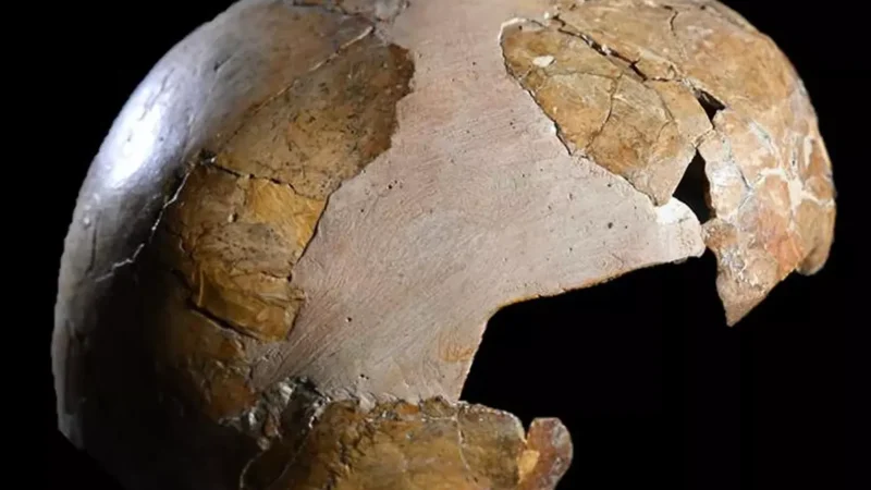 Najstariji dokaz ukrštanja neandertalaca i Homo sapiens-a otkriven u Izraelu