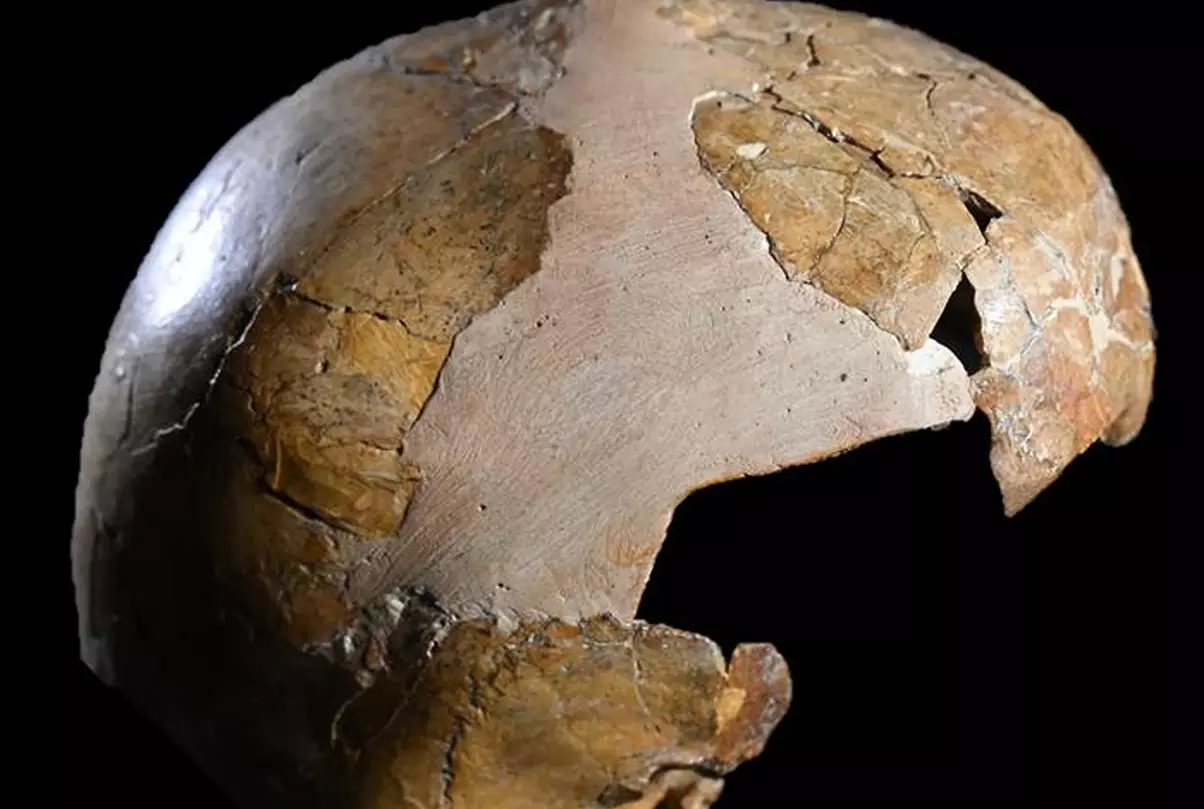 Najstariji dokaz ukrštanja neandertalaca i Homo sapiens-a otkriven u Izraelu