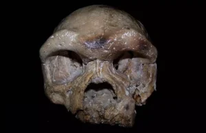 Lobanja Dali Man
