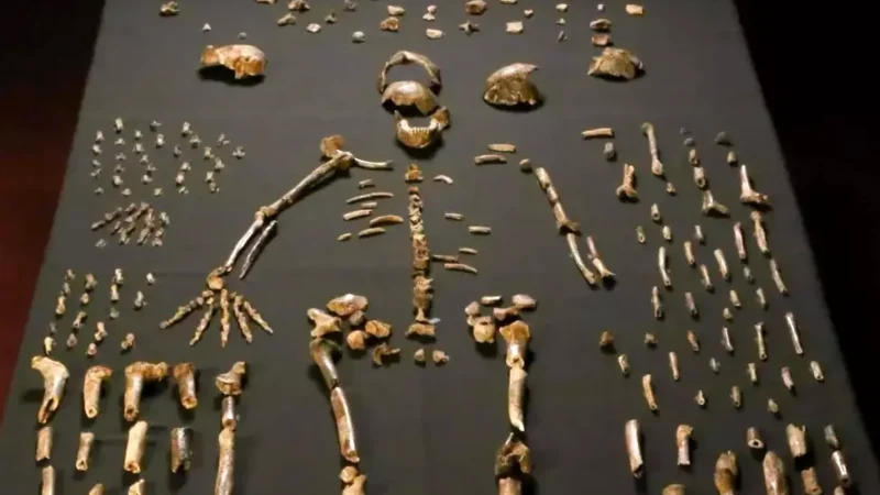 Da li je Homo naledi sahranjivao svoje mrtve?