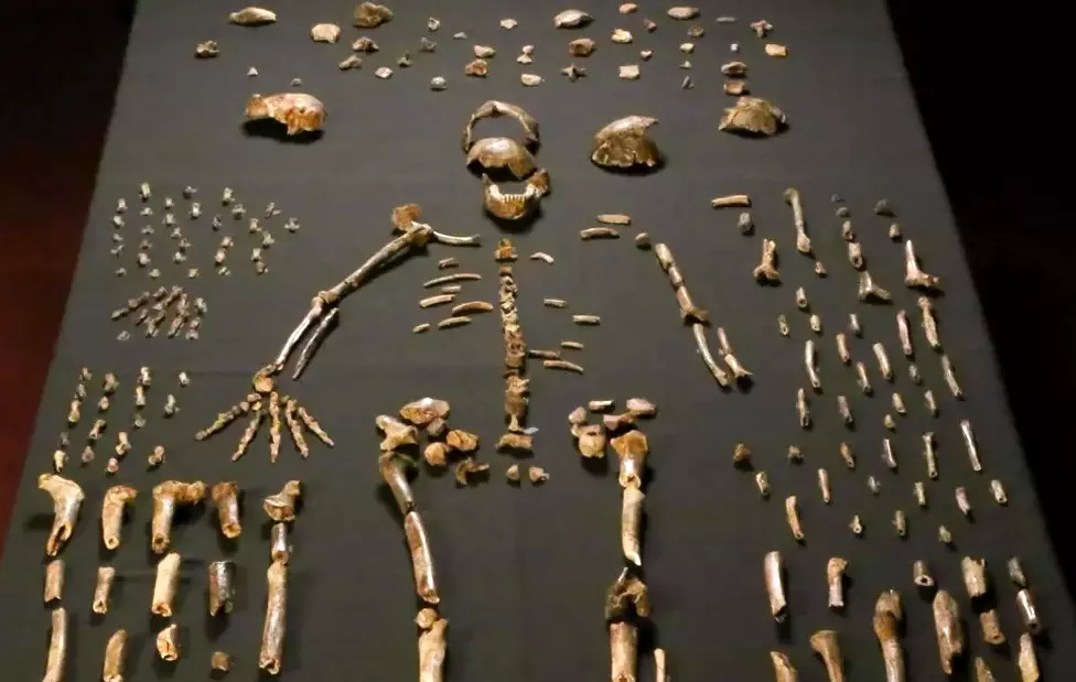 Da li je Homo naledi sahranjivao svoje mrtve?