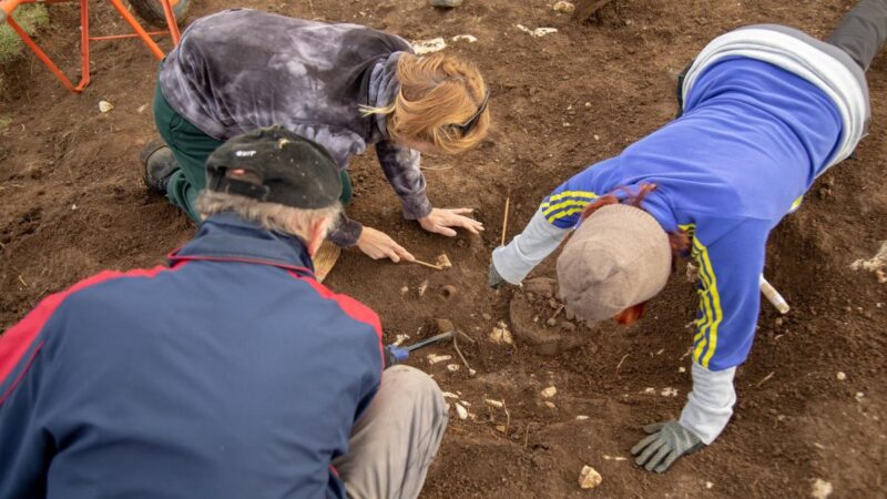 Završena arheološka istraživanja u Seništima: otkrivena urna sa ostacima spaljenog pokojnika