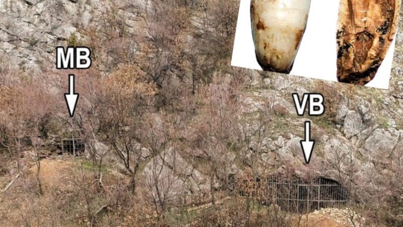 Novi dokazi o ranim neandertalcima u Srbiji: otkriveni zubi stari 300.000 godina u pećini Velika Balanica