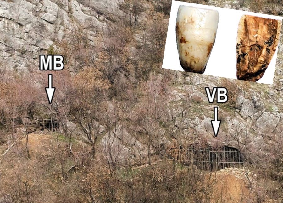 Novi dokazi o ranim neandertalcima u Srbiji: otkriveni zubi stari 300.000 godina u pećini Velika Balanica