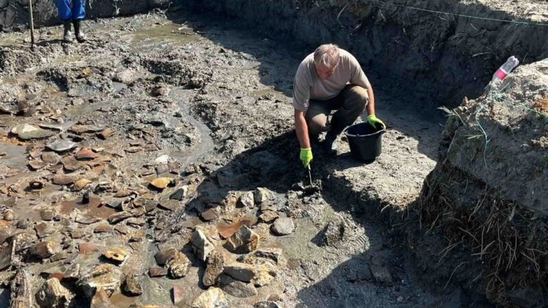 Sojeničko naselje Mrdaja – Dojran: Praistorijska zajednica na vodi