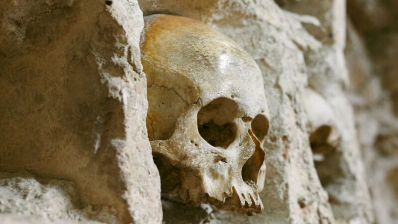 Prva digitalno rekonstruisana lica Čegarskih junaka biće predstavljena javnosti