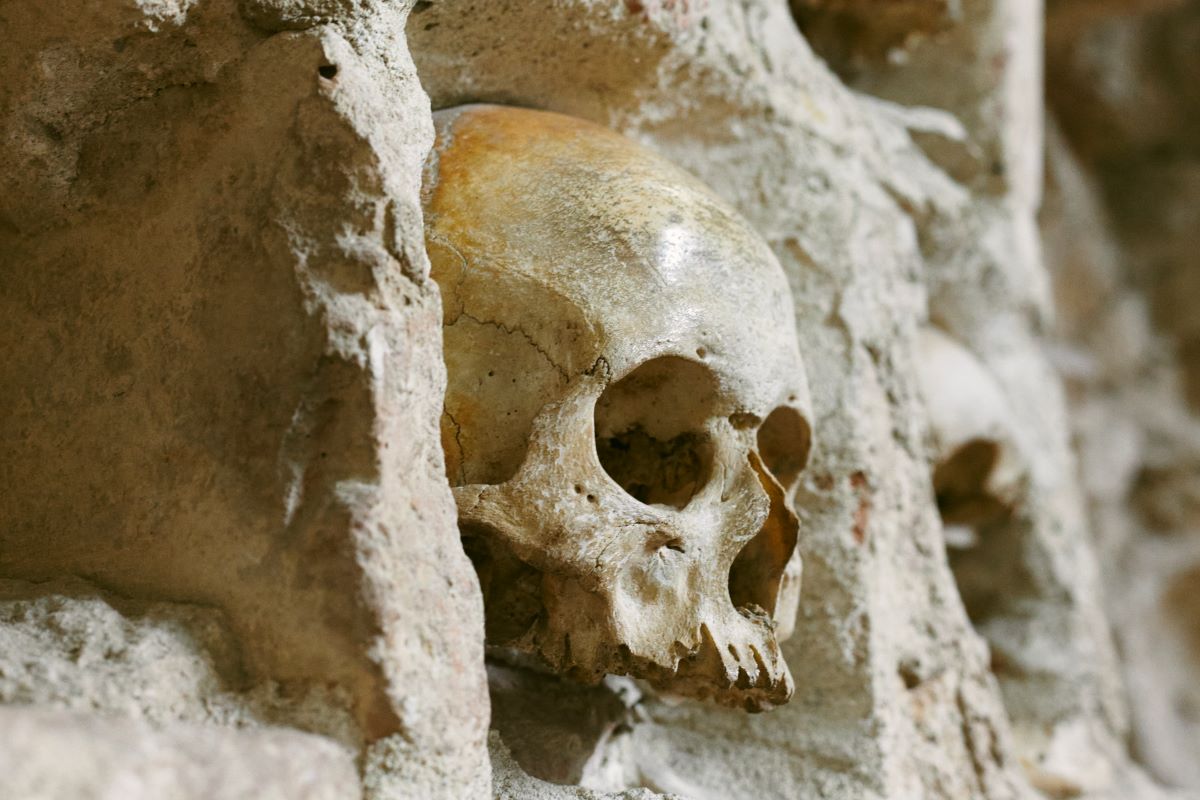 Prva digitalno rekonstruisana lica Čegarskih junaka biće predstavljena javnosti