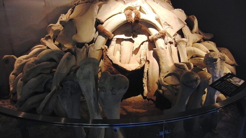 Arheolozi rešili misteriju: Zašto su praistorijski ljudi gradili kuće od mamutovih kostiju?