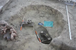 Grobovi vinčanske kulture