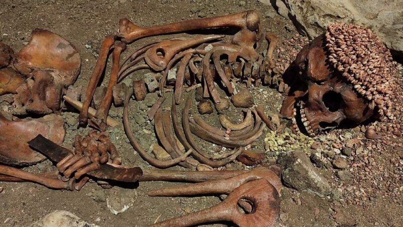 „Princ“ iz ledenog doba: kako je mladić preživeo napad zveri pre 27.000 godina