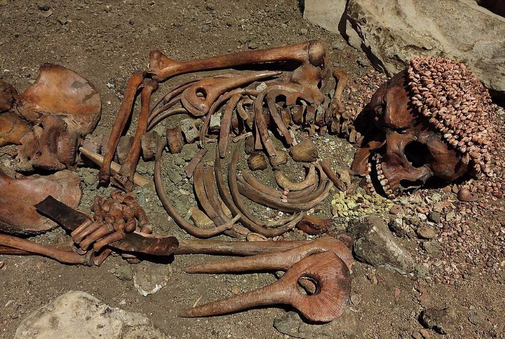 „Princ“ iz ledenog doba: kako je mladić smrtno stradao od napada zveri pre 27.000 godina