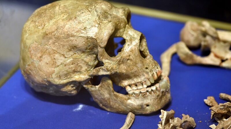 Ovaj neandertalac je bio slep, gluv i hrom, ali je živeo decenijama