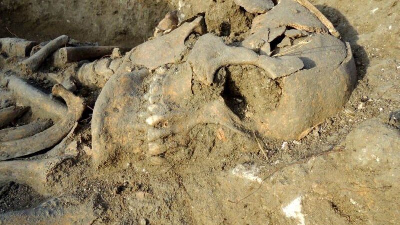 Otkriće srednjovekovne žene džin – šta nam otkrivaju njene kosti?