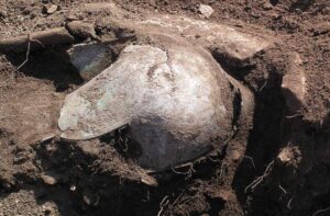 Ilirski šlem iz ratničkog groba