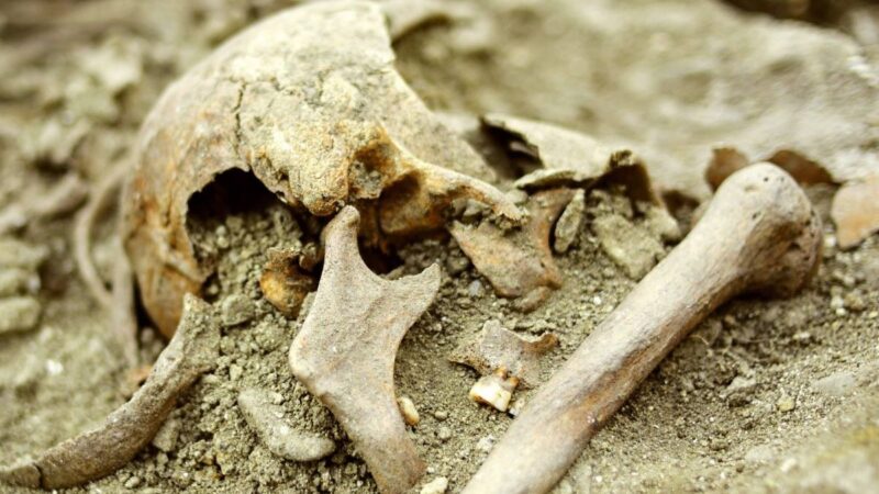 Evo kako je izgledao “vampir” iz Hrvatske pre 400 godina