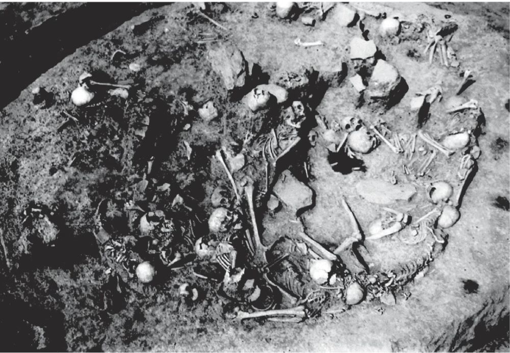 Masakr u gvozdenom dobu na Gomolavi otkriva ciljano uništavanje žena i dece pre 2.800 godina