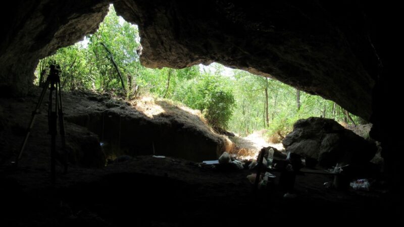 Srpski naučnici u međunarodnom timu: kasni neandertalci potiču od jedne populacije