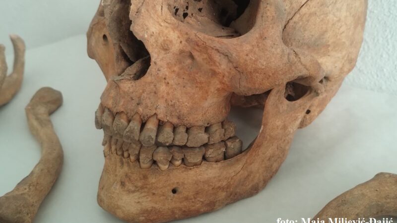 Kako su pre 2.500 godina drevni ljudi operisali vilicu? Iznenađujući nalaz iz groba kulture Pazirik