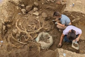 Arheološko otkriće kola