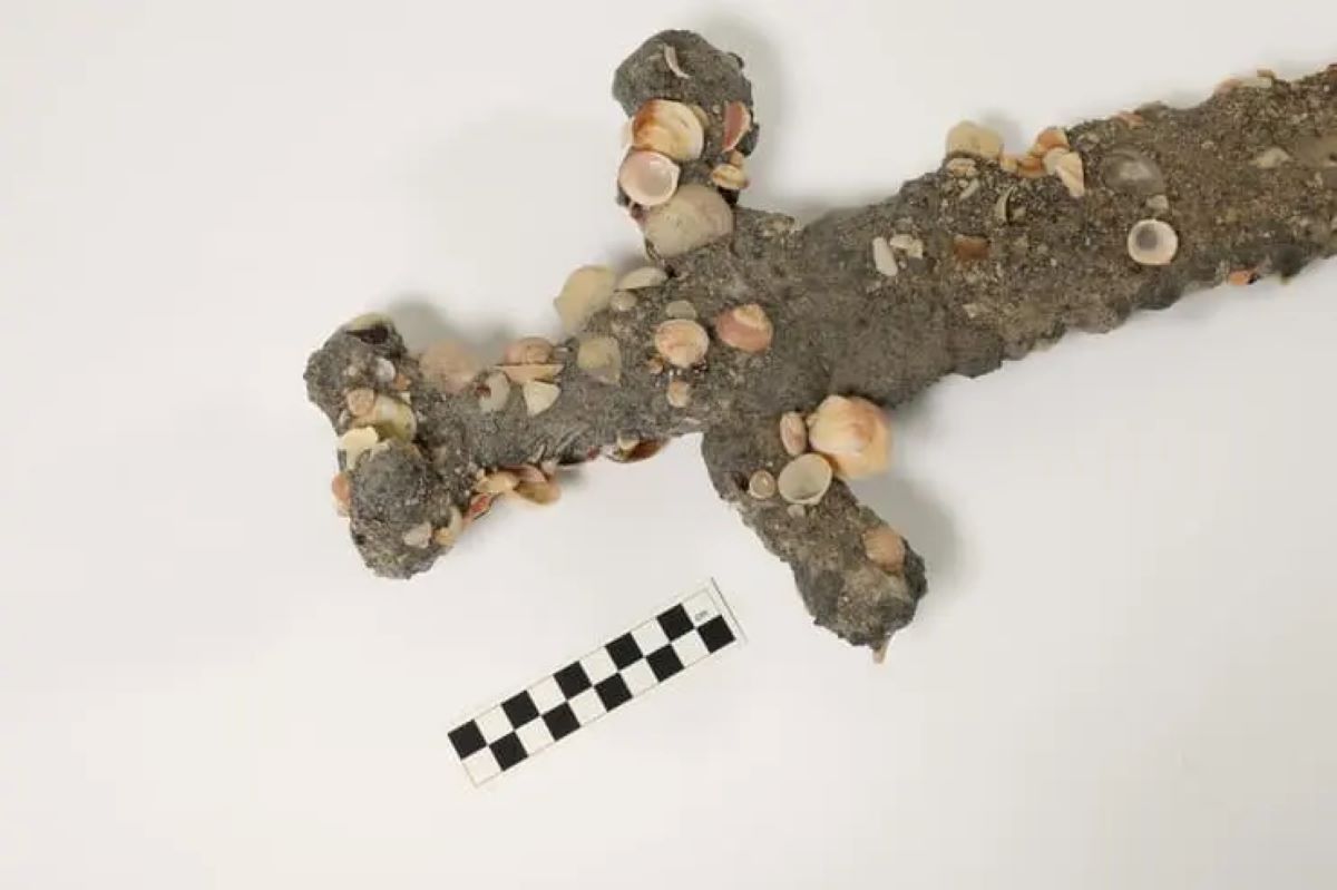 Student slučajno pronašao krstaški mač iz 12. veka kod obale Haife