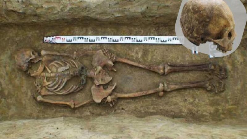 Arheološko otkriće u Čurugu: žena sa deformisanom lobanjom i germanskim nakitom