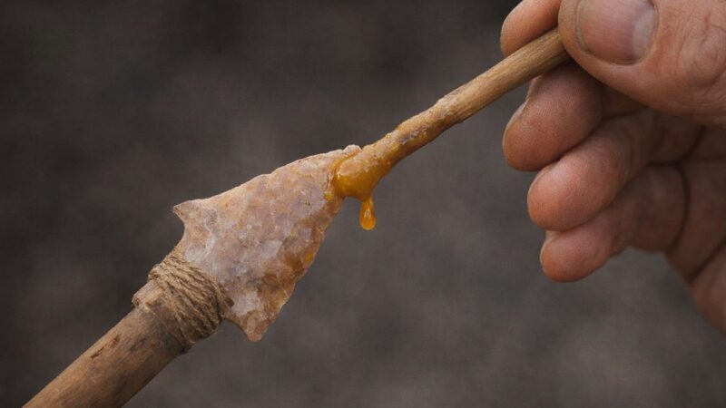 Ljudi su koristili smrtonosni otrov za strele još pre 60.000 godina