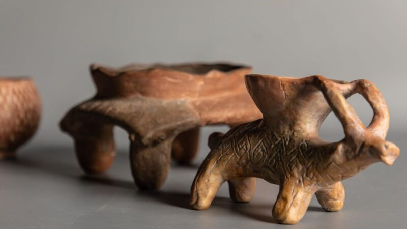 U Narodnom muzeju otvorena je izložba “HLEB I RIBE: 80 vekova Donje Branjevine”