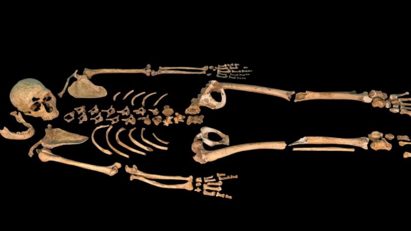 Neandertalci su sahranjivali svoje mrtve – potvrđuje još jedna studija