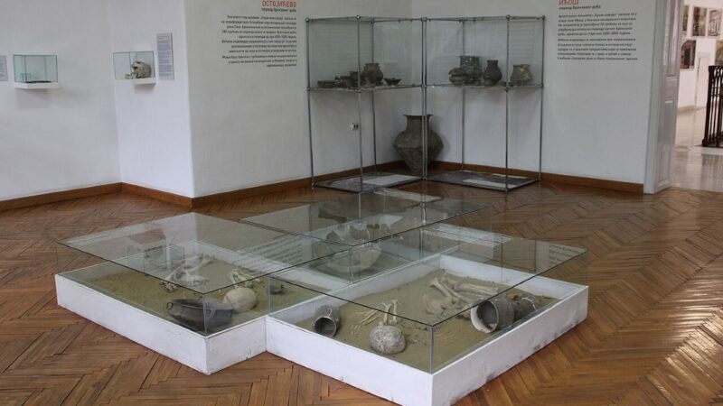 Misteriozni 4.000 godina star grob iz Mokrina: žena sahranjena sa glavom svinje