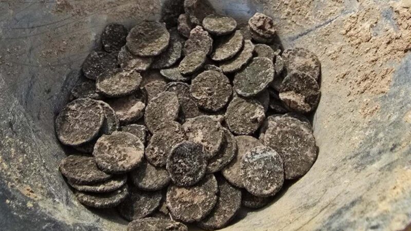 Otkrivene 302 rimske kovanice na Dunavskom limesu kod Mohova