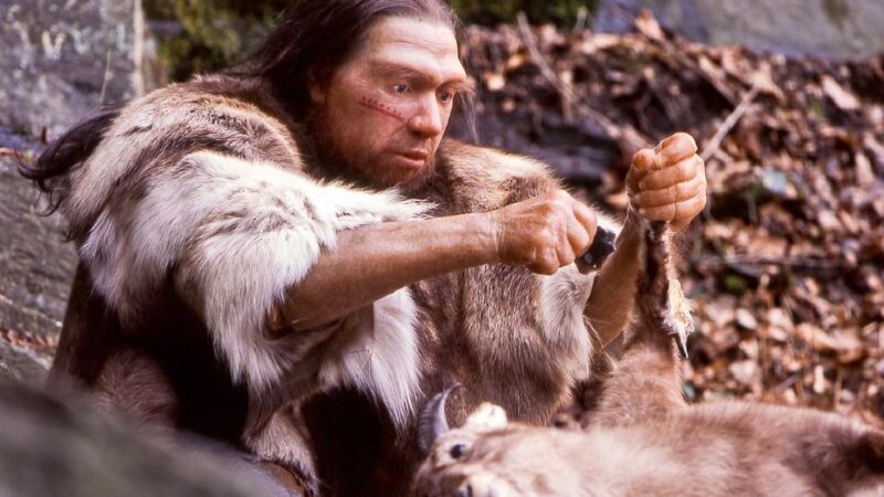 Pre skoro 60.000 godina neandertalci su lečili zube kamenim „bušilicama“