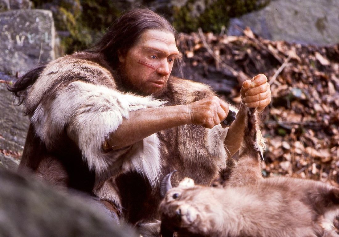 Pre skoro 60.000 godina neandertalci su lečili zube kamenim „bušilicama“