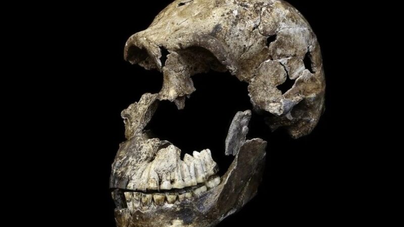Misterija iz pećine u Južnoj Africi: Da li su svi pronađeni Homo nalediji bili žene?