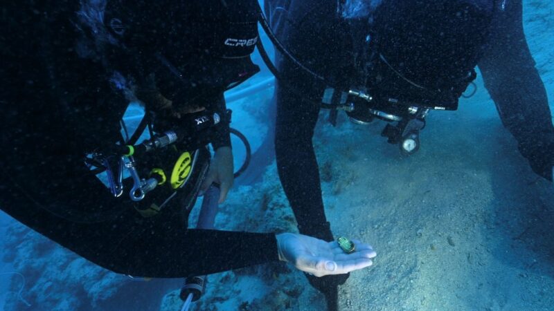 Otkriven jedan od najvažnijih vizantijskih brodoloma na Mediteranu: Zlatno blago krije priču o visokom carskom dostojanstveniku