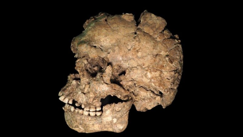 Zabeleženo nasilje među Homo sapiensima pre 100.000 godina
