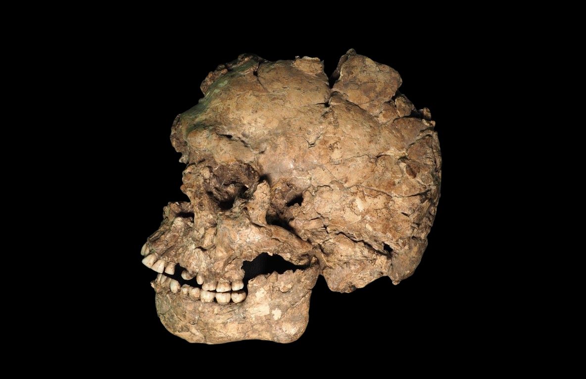 Zabeleženo nasilje među Homo sapiensima pre 100.000 godina