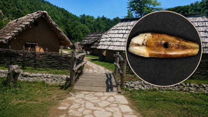 Pre više od 6.500 godina neko je nosio ljudski zub kao nakit: Jedinstven nalaz iz vinčanske kulture
