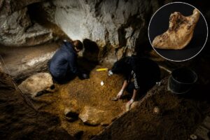 U Kozjoj pećini pronađen je fragment donje vilice modernog čoveka
