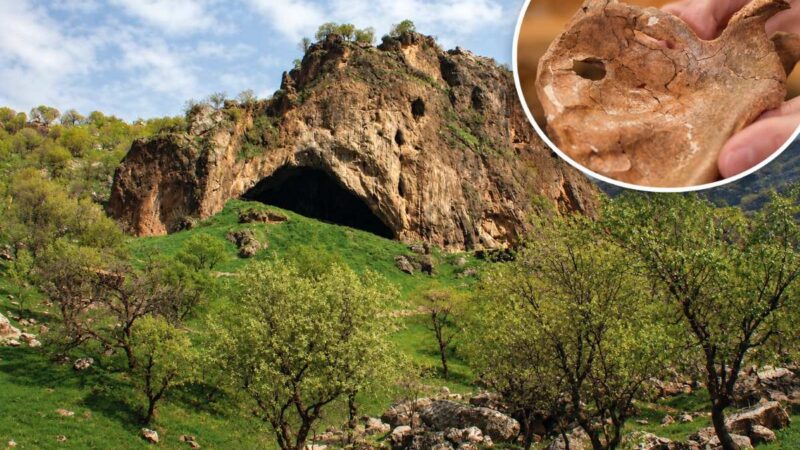 Ovaj neandertalac ubijen je nasilno drvenim kopljem pre 75.000 godina